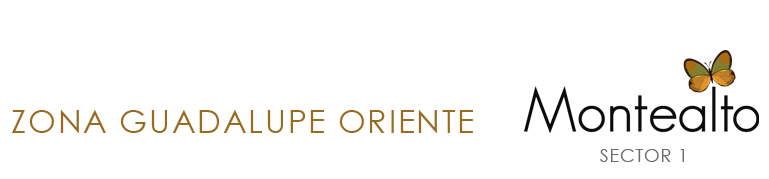 Logo montealto